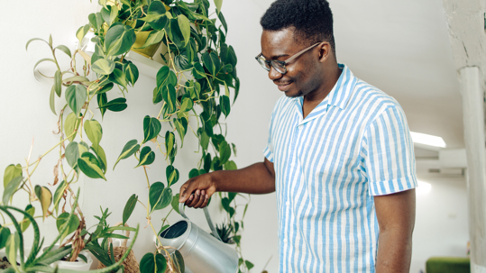 Man watering indoor plants
